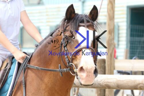 Kerguelen-equitation-1F4A3705
