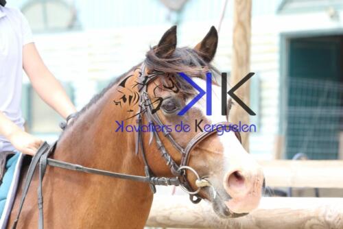 Kerguelen-equitation-1F4A3706