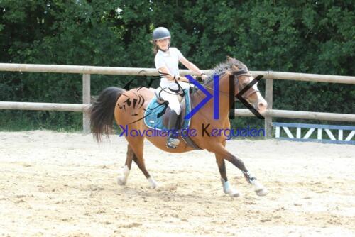 Kerguelen-equitation-1F4A3712