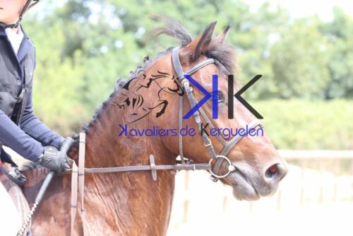 Kerguelen-equitation-1F4A3733