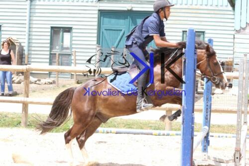 Kerguelen-equitation-1F4A3851