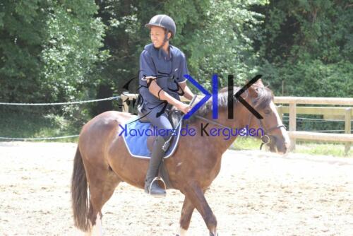 Kerguelen-equitation-1F4A3855