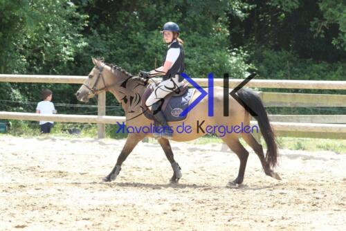 Kerguelen-equitation-1F4A3859
