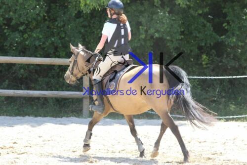 Kerguelen-equitation-1F4A3877