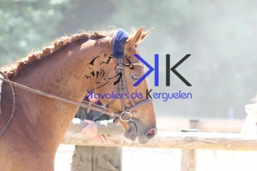 Kerguelen-equitation-1F4A3948 (1)