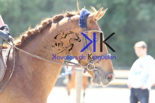 Kerguelen-equitation-1F4A3949 (1)