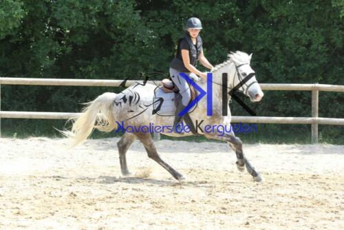 Kerguelen-equitation-1F4A3979 (1)
