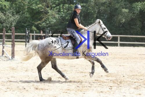 Kerguelen-equitation-1F4A3982 (1)