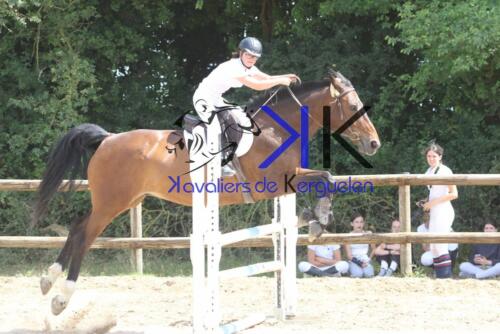 Kerguelen-equitation-1F4A4006