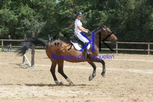 Kerguelen-equitation-1F4A4009