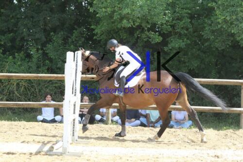 Kerguelen-equitation-1F4A4012