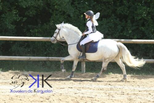 Kerguelen-equitation-1F4A4081