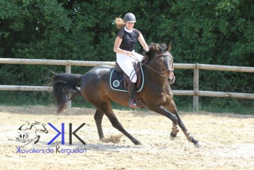 Kerguelen-equitation-1F4A4089