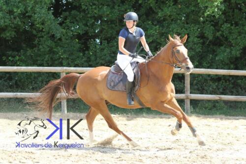 Kerguelen-equitation-1F4A4101
