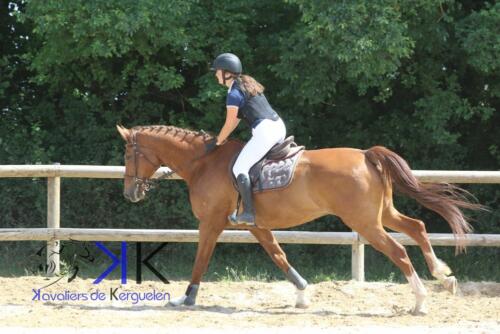 Kerguelen-equitation-1F4A4105