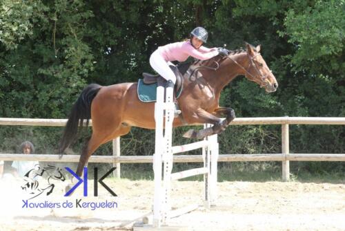 Kerguelen-equitation-1F4A4115