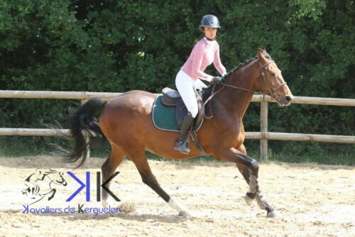 Kerguelen-equitation-1F4A4116