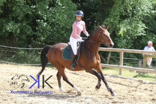 Kerguelen-equitation-1F4A4117