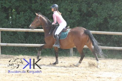 Kerguelen-equitation-1F4A4120