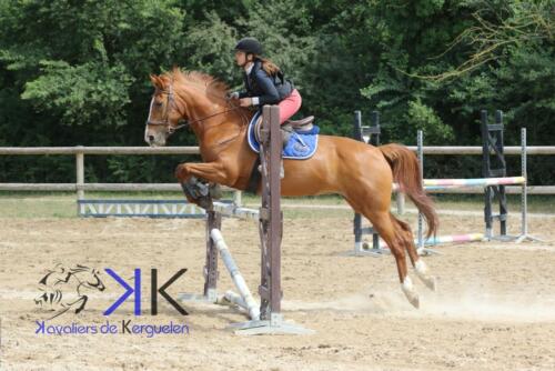 Kerguelen-equitation-1F4A4123