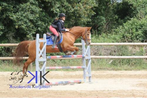 Kerguelen-equitation-1F4A4124