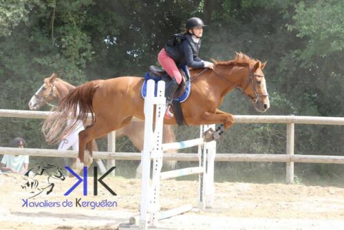 Kerguelen-equitation-1F4A4126