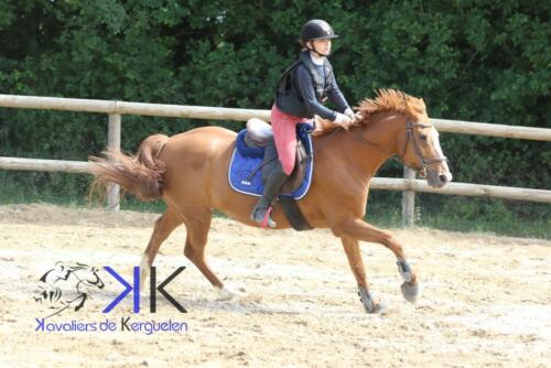 Kerguelen-equitation-1F4A4127