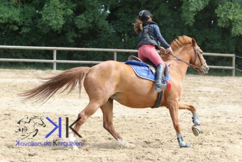 Kerguelen-equitation-1F4A4130