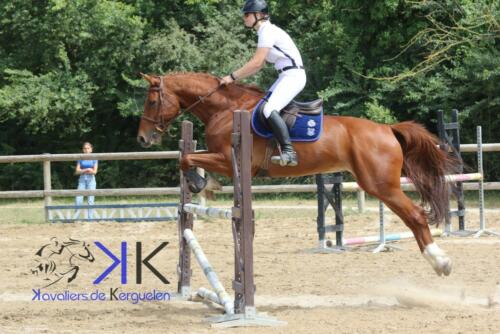 Kerguelen-equitation-1F4A4132