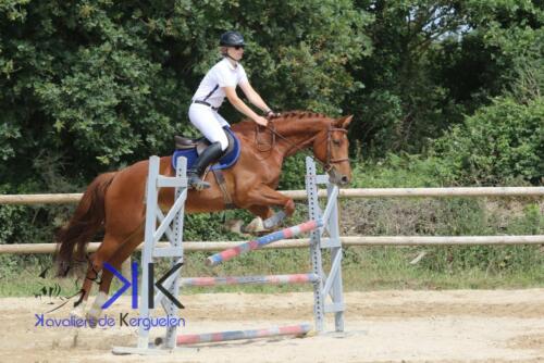 Kerguelen-equitation-1F4A4133