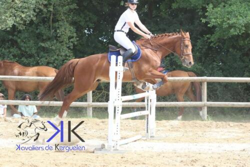 Kerguelen-equitation-1F4A4135