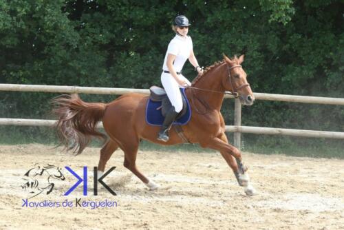Kerguelen-equitation-1F4A4136