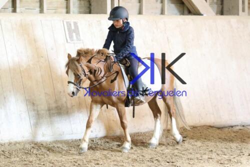 Kerguelen-equitation-1F4A4208