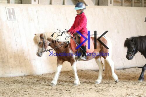 Kerguelen-equitation-1F4A4209