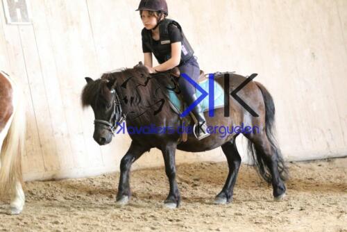 Kerguelen-equitation-1F4A4210