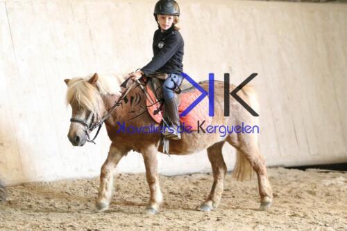 Kerguelen-equitation-1F4A4211