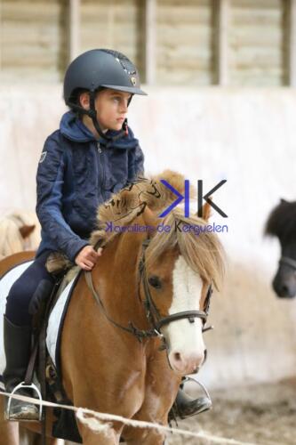 Kerguelen-equitation-1F4A4212