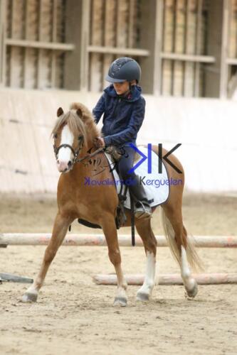 Kerguelen-equitation-1F4A4215