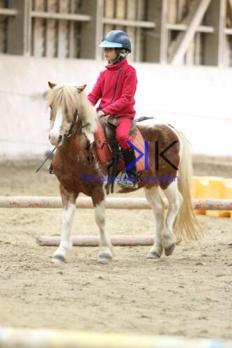 Kerguelen-equitation-1F4A4216