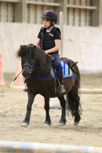 Kerguelen-equitation-1F4A4217