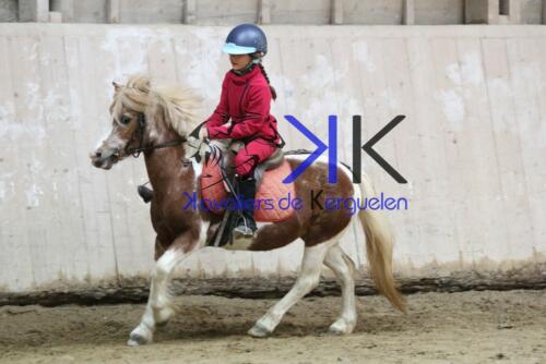 Kerguelen-equitation-1F4A4221