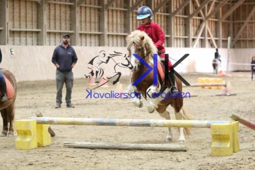 Kerguelen-equitation-1F4A4223