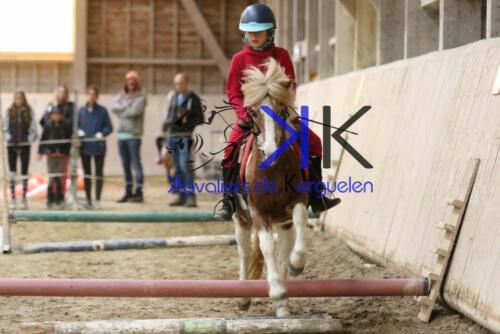 Kerguelen-equitation-1F4A4224