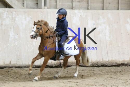 Kerguelen-equitation-1F4A4226