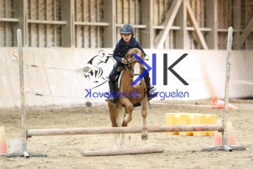 Kerguelen-equitation-1F4A4227