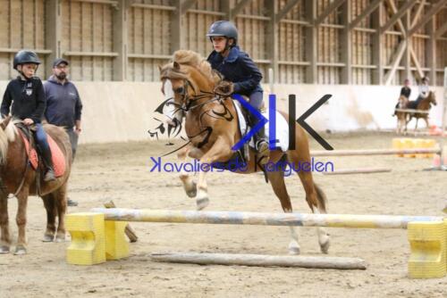 Kerguelen-equitation-1F4A4228