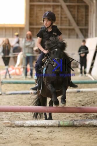 Kerguelen-equitation-1F4A4234