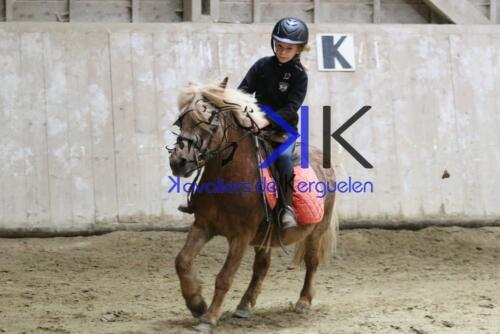 Kerguelen-equitation-1F4A4238