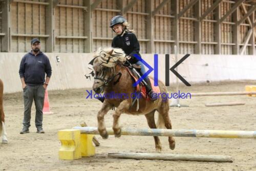 Kerguelen-equitation-1F4A4241