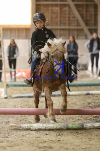 Kerguelen-equitation-1F4A4242